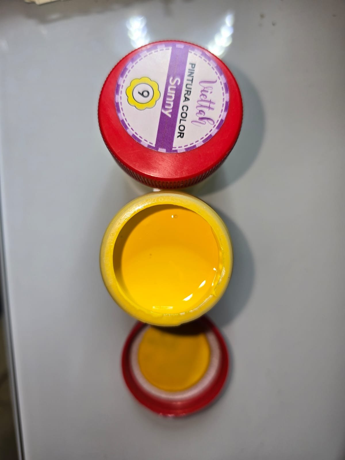 SUNNY PINTURA 50 ML - 9