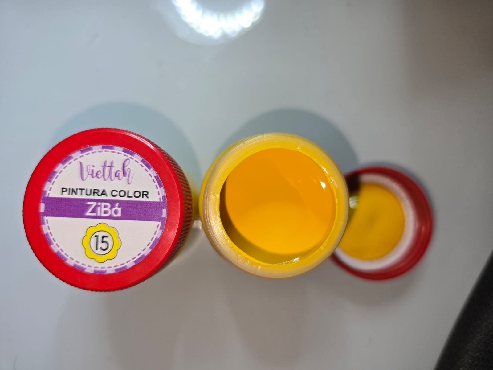 ZIBA PINTURA 50 ML - 15