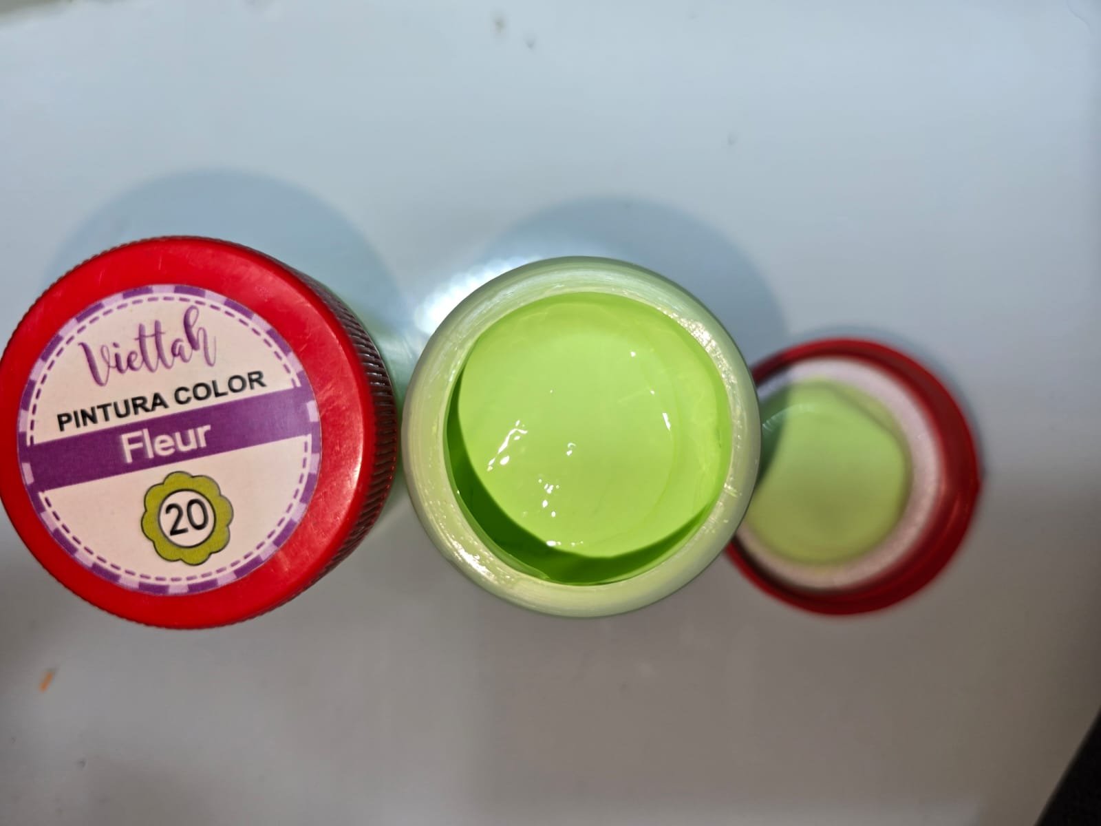 FLEUR PINTURA 50 ML - 20