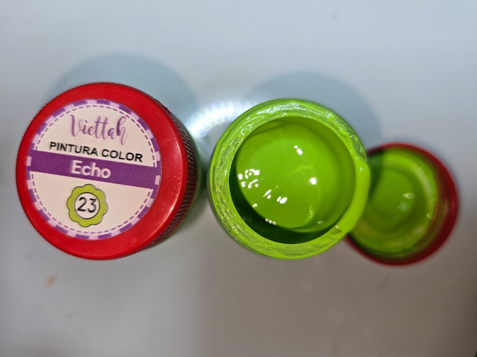 ECHO PINTURA 50 ML -23