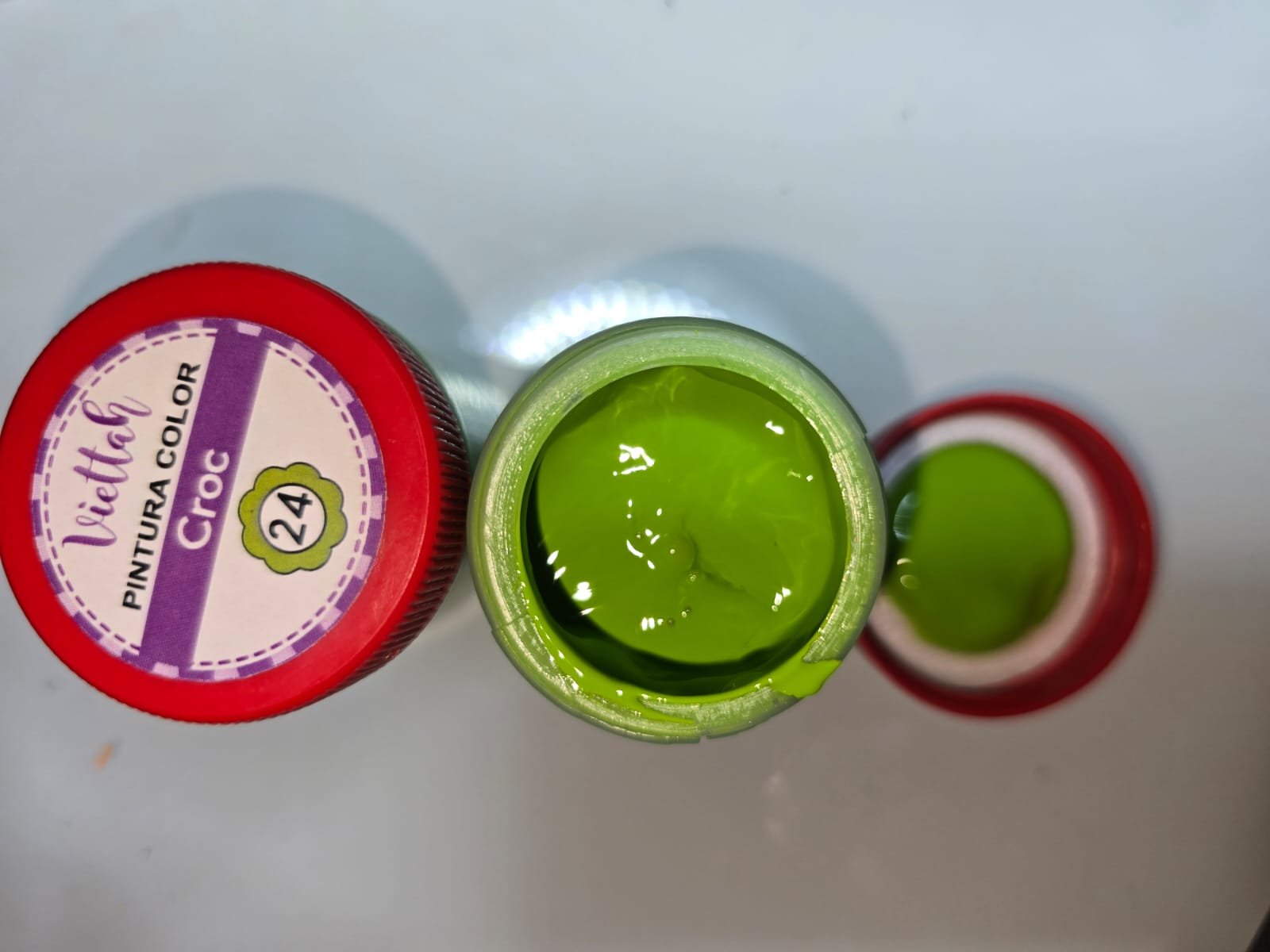 CROC PINTURA 50 ML - 24