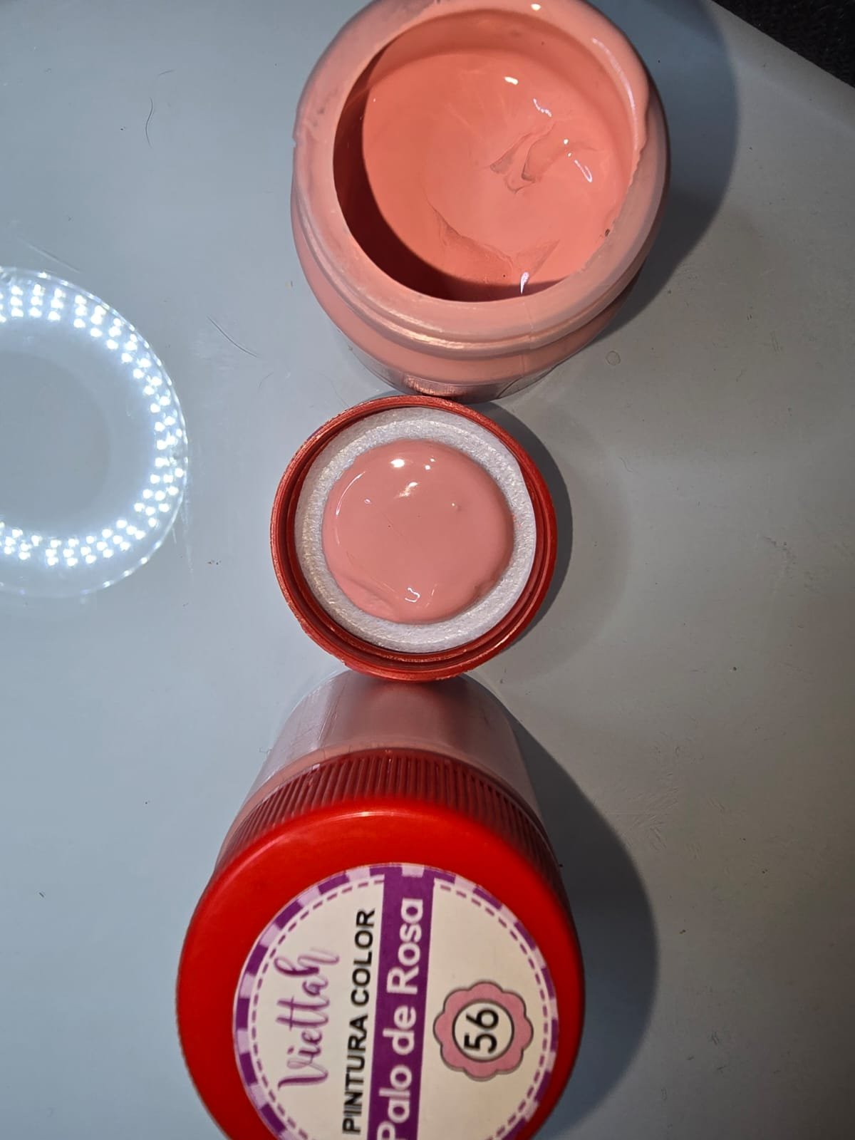 PALO DE ROSA PINTURA 50 ML - 56