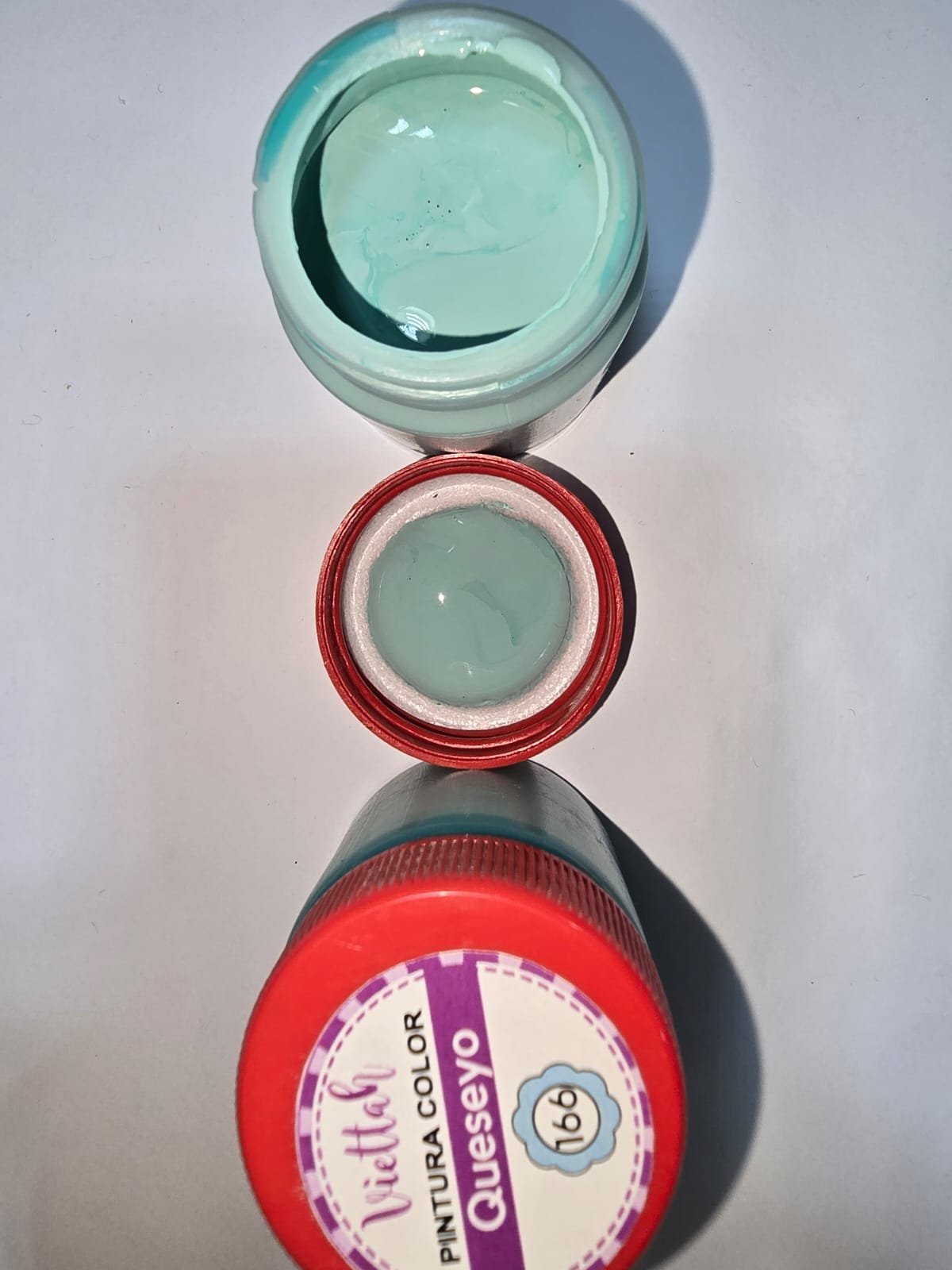 QUESEYO PINTURA 50 ML - 166