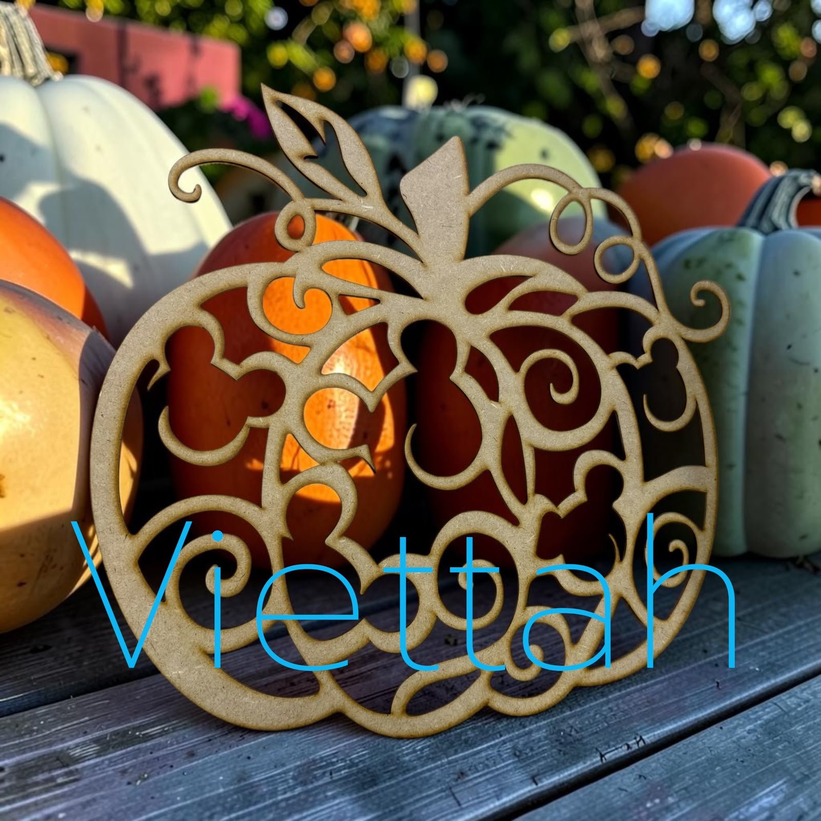 CALABAZA CALADA RATON, RAIZ
